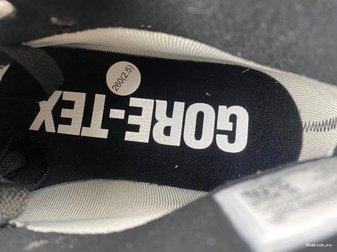 One Kick DB2889-500 Gore-Tex 1 Jordan Element Air 0811